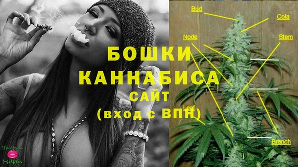 гашик Кинешма