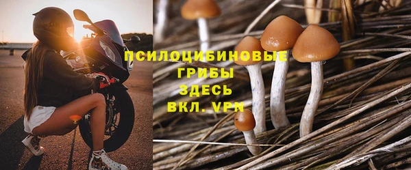 гашик Кинешма