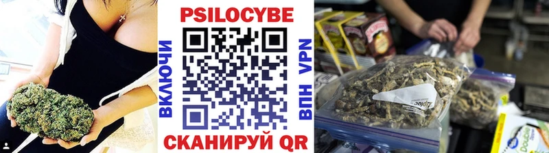 Псилоцибиновые грибы Psilocybe  Купить где  Правдинск 